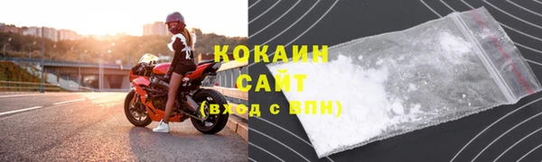 ГАЛЛЮЦИНОГЕННЫЕ ГРИБЫ Карталы