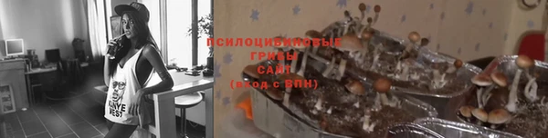 трава Каменск-Шахтинский