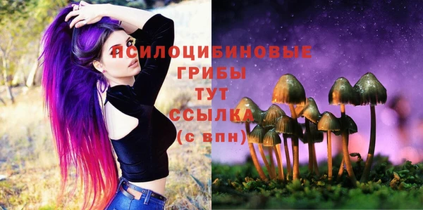 mix Каменногорск