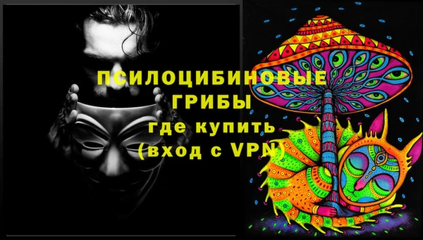 ГАЛЛЮЦИНОГЕННЫЕ ГРИБЫ Карталы