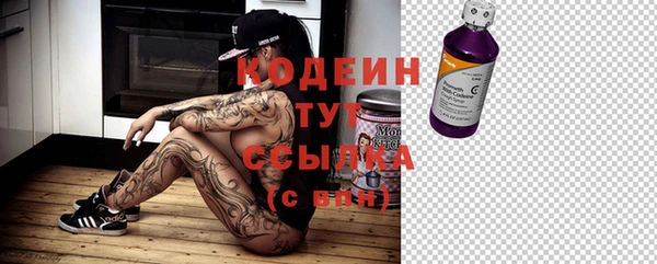 ГАЛЛЮЦИНОГЕННЫЕ ГРИБЫ Карталы