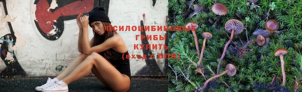 ГАЛЛЮЦИНОГЕННЫЕ ГРИБЫ Карталы